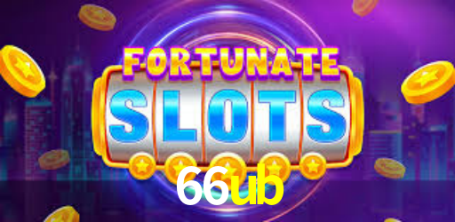 Premium Interface 66ub